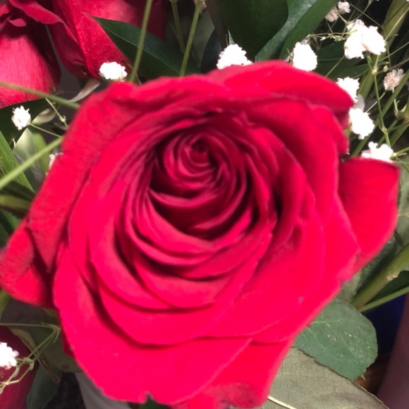 Meet your Posher, Nicole - Picture 1 of 1